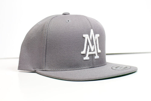 The Merciless Athletics Lifestyle Logo Snapback in Silver